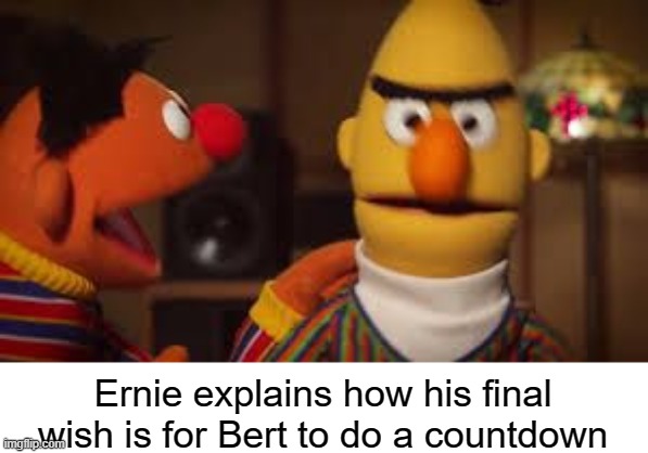 Bert and Ernie  | Ernie explains how his final wish is for Bert to do a countdown | image tagged in bert and ernie | made w/ Imgflip meme maker