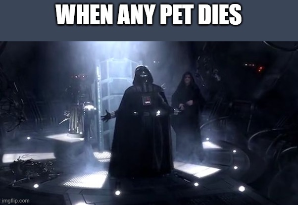 Vader nooooooooo | WHEN ANY PET DIES | image tagged in vader nooooooooo | made w/ Imgflip meme maker