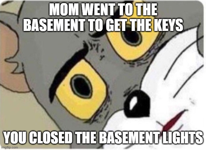 wow | MOM WENT TO THE BASEMENT TO GET THE KEYS; YOU CLOSED THE BASEMENT LIGHTS | image tagged in tom and jerry meme | made w/ Imgflip meme maker