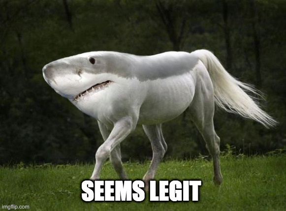 Seems legit | SEEMS LEGIT | image tagged in seems legit | made w/ Imgflip meme maker