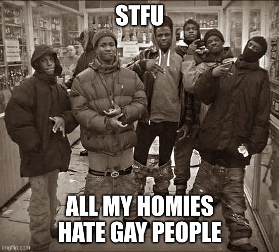 All My Homies Hate | STFU; ALL MY HOMIES HATE GAY PEOPLE | image tagged in all my homies hate | made w/ Imgflip meme maker
