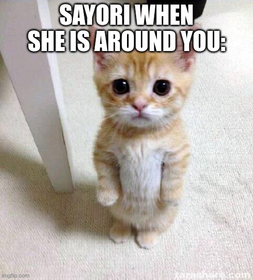Sayori memer! | SAYORI WHEN SHE IS AROUND YOU: | image tagged in memes,cute cat | made w/ Imgflip meme maker