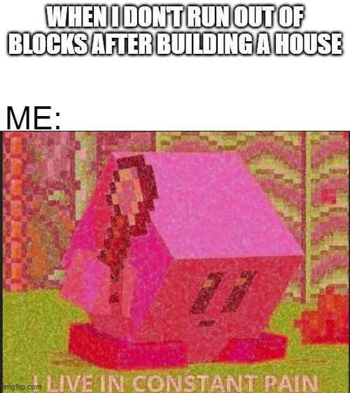 What is my life | WHEN I DON'T RUN OUT OF BLOCKS AFTER BUILDING A HOUSE; ME: | image tagged in meme,minecraft,fun,funny,constant pain | made w/ Imgflip meme maker
