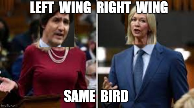  LEFT  WING  RIGHT  WING; SAME  BIRD | image tagged in canadian truckers,freedom convoy,justin trudeau,candice bergen,canadian politics | made w/ Imgflip meme maker