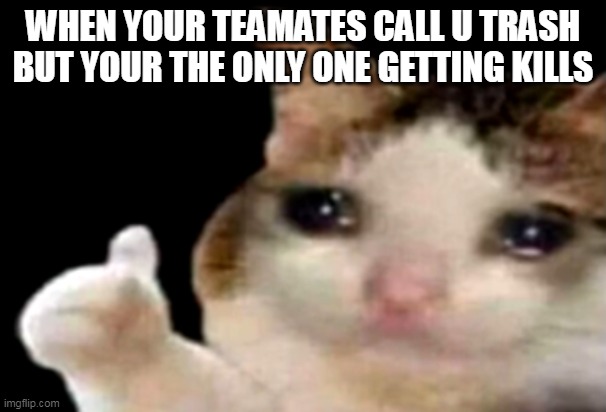 sad | WHEN YOUR TEAMATES CALL U TRASH BUT YOUR THE ONLY ONE GETTING KILLS | image tagged in sad cat thumbs up,sad | made w/ Imgflip meme maker