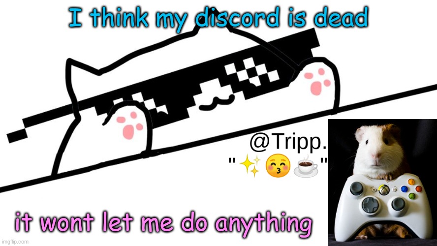 b-bb-b---b-b--b-b-b--b-b-b-b-b--b-b-b-b-b-bb-b--BEANS | I think my discord is dead; it wont let me do anything | image tagged in tripp 's very awesome temp d | made w/ Imgflip meme maker