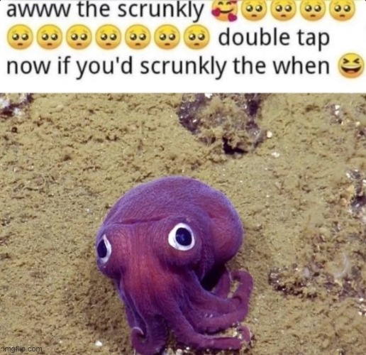 scrunk | made w/ Imgflip meme maker
