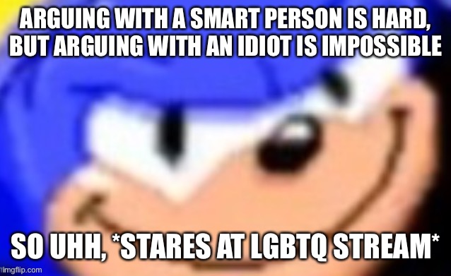 Sonic smile | ARGUING WITH A SMART PERSON IS HARD, BUT ARGUING WITH AN IDIOT IS IMPOSSIBLE; SO UHH, *STARES AT LGBTQ STREAM* | image tagged in sonic smile | made w/ Imgflip meme maker