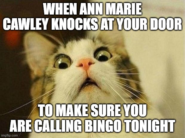 Scared Cat | WHEN ANN MARIE CAWLEY KNOCKS AT YOUR DOOR; TO MAKE SURE YOU ARE CALLING BINGO TONIGHT | image tagged in memes,scared cat | made w/ Imgflip meme maker