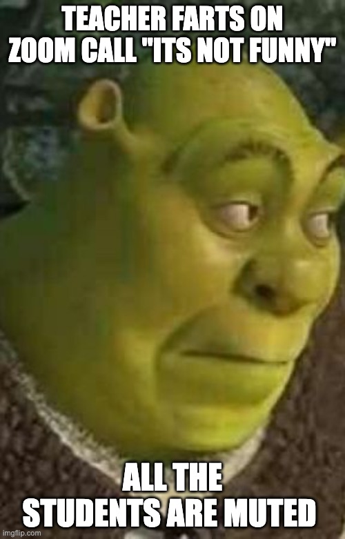 Shrek UwU | TEACHER FARTS ON ZOOM CALL "ITS NOT FUNNY"; ALL THE STUDENTS ARE MUTED | image tagged in shrek uwu,funny,school,lol,shrek,hold up | made w/ Imgflip meme maker