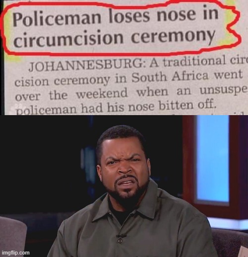 Nose Near Wang? | image tagged in really ice cube | made w/ Imgflip meme maker