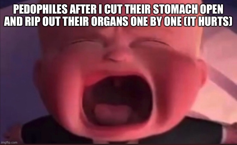 Boss Baby Scream | PEDOPHILES AFTER I CUT THEIR STOMACH OPEN AND RIP OUT THEIR ORGANS ONE BY ONE (IT HURTS) | image tagged in boss baby scream | made w/ Imgflip meme maker