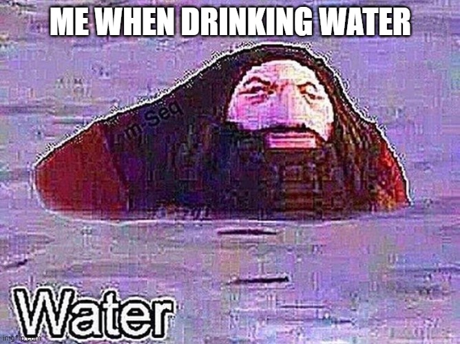 water | ME WHEN DRINKING WATER | image tagged in ps1 hagrid water meme | made w/ Imgflip meme maker