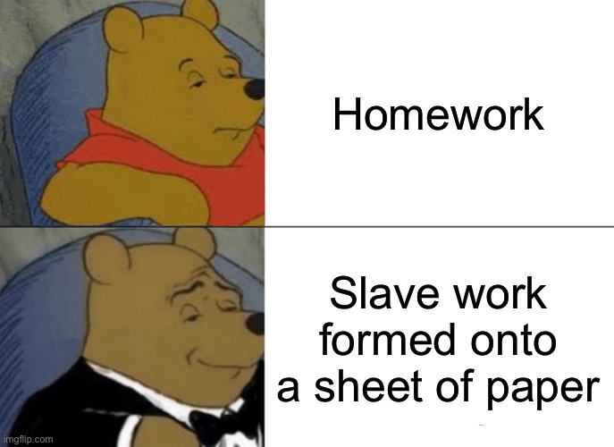 funny go brrrr | Homework; Slave work formed onto a sheet of paper | image tagged in memes,tuxedo winnie the pooh,funny,ha ha tags go brr,homework,school | made w/ Imgflip meme maker