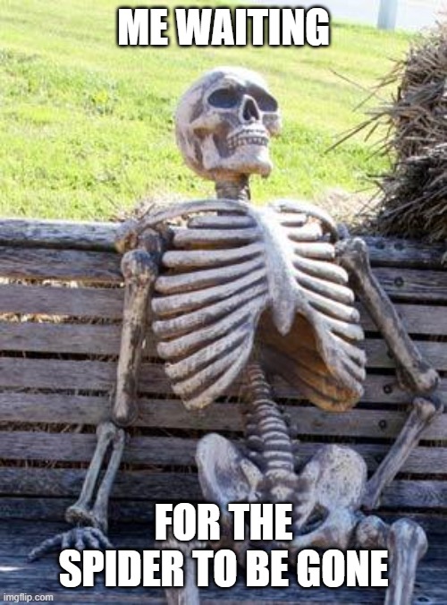 spider | ME WAITING; FOR THE SPIDER TO BE GONE | image tagged in memes,waiting skeleton | made w/ Imgflip meme maker