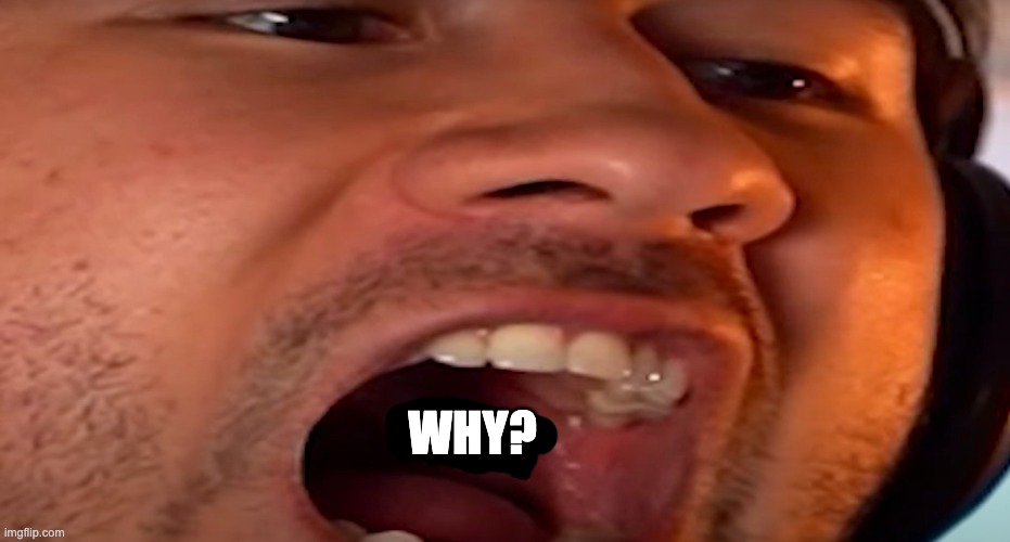 WHY? | made w/ Imgflip meme maker