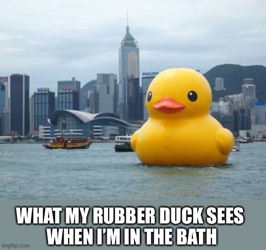 WHAT MY RUBBER DUCK SEES 
WHEN I’M IN THE BATH | made w/ Imgflip meme maker