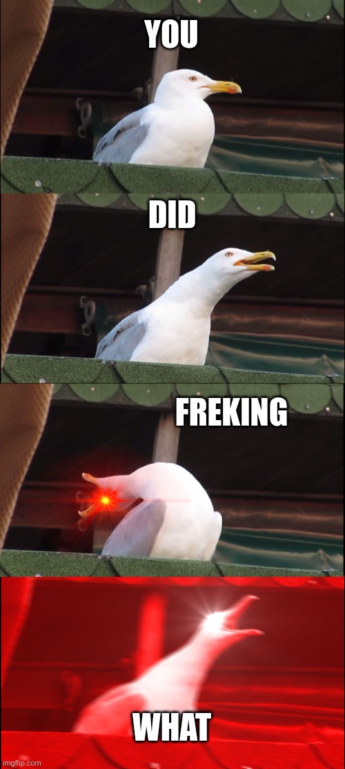 No you did not | YOU; DID; FREKING; WHAT | image tagged in memes,inhaling seagull | made w/ Imgflip meme maker