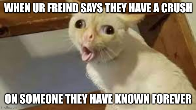 cats dont like crushes | WHEN UR FREIND SAYS THEY HAVE A CRUSH; ON SOMEONE THEY HAVE KNOWN FOREVER | image tagged in cat puking at crush info | made w/ Imgflip meme maker