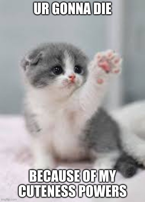 DIE | UR GONNA DIE; BECAUSE OF MY CUTENESS POWERS | image tagged in cat pawing at air,cute kitten | made w/ Imgflip meme maker