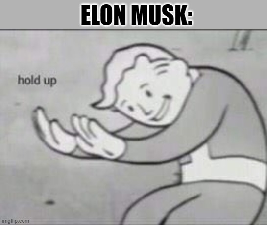 Fallout Hold Up | ELON MUSK: | image tagged in fallout hold up | made w/ Imgflip meme maker