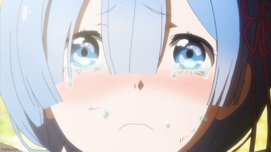 Crying anime girl | image tagged in crying anime girl | made w/ Imgflip meme maker