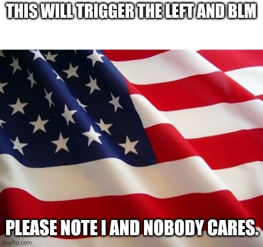 Proud to be American | THIS WILL TRIGGER THE LEFT AND BLM; PLEASE NOTE I AND NOBODY CARES. | image tagged in american flag,blm,sjw,patriotism,proud | made w/ Imgflip meme maker