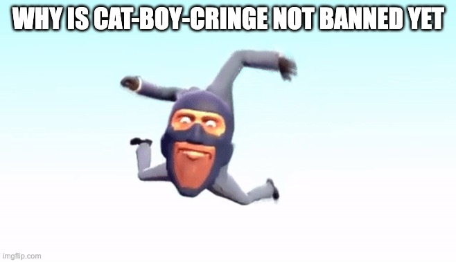 actually, dont ban them, lets troll more | WHY IS CAT-BOY-CRINGE NOT BANNED YET | image tagged in the s p y | made w/ Imgflip meme maker