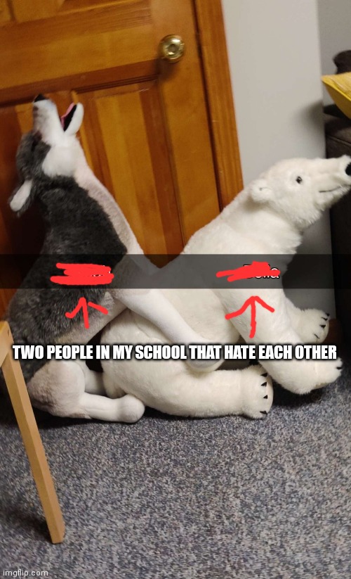 TWO PEOPLE IN MY SCHOOL THAT HATE EACH OTHER | made w/ Imgflip meme maker