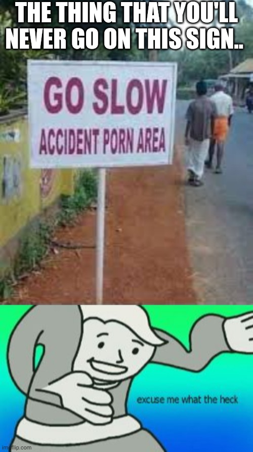 Really, just really, I have no words about this sign | THE THING THAT YOU'LL NEVER GO ON THIS SIGN.. | image tagged in excuse me what the heck,memes,funny,funny signs,stupid signs | made w/ Imgflip meme maker