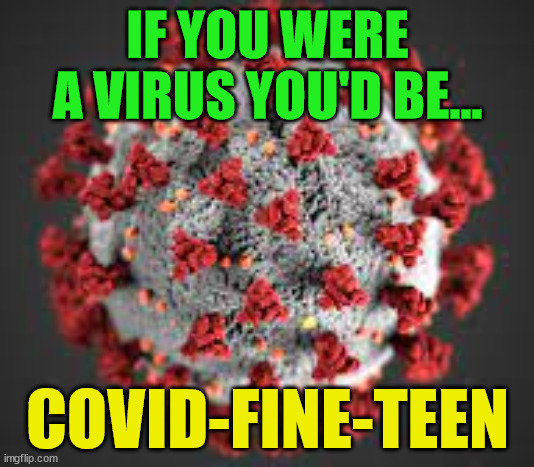 Covid-19 | IF YOU WERE A VIRUS YOU'D BE... COVID-FINE-TEEN | image tagged in covid-19,pandemic,fine | made w/ Imgflip meme maker