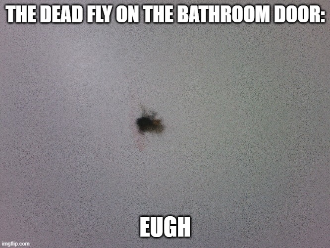eugh | THE DEAD FLY ON THE BATHROOM DOOR:; EUGH | image tagged in distracted boyfriend | made w/ Imgflip meme maker