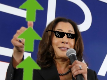 High Quality Kamala Harris upvotes deal with it Blank Meme Template