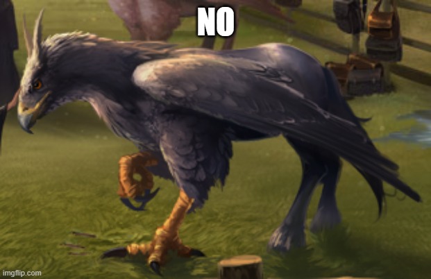 Hippogriff | NO | image tagged in hippogriff | made w/ Imgflip meme maker