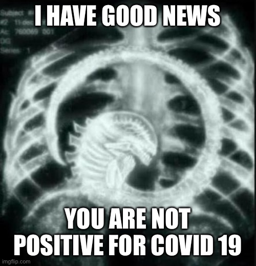 Well… there is also bad news… | I HAVE GOOD NEWS; YOU ARE NOT POSITIVE FOR COVID 19 | image tagged in covid-19 | made w/ Imgflip meme maker