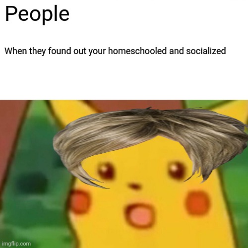 Surprised Pikachu | People; When they found out your homeschooled and socialized | image tagged in memes,surprised pikachu | made w/ Imgflip meme maker