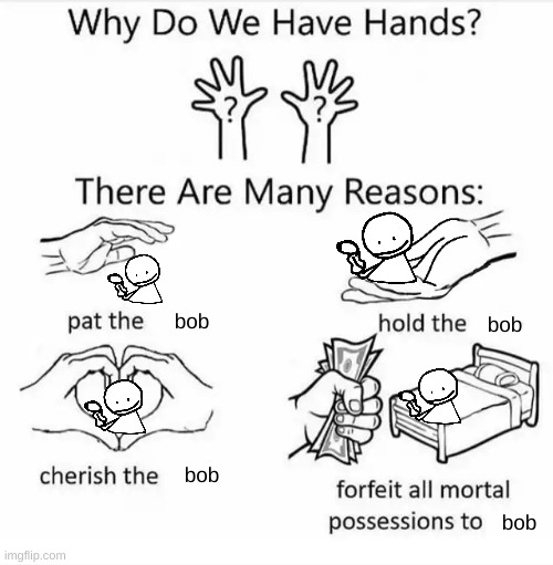 Bob is cool | bob; bob; bob; bob | image tagged in why do we have hands all blank,memes | made w/ Imgflip meme maker