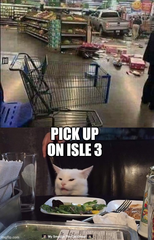PICK UP ON ISLE 3 | image tagged in smudge the cat | made w/ Imgflip meme maker