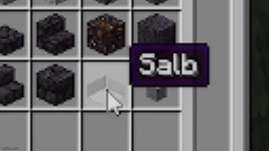 Salb | image tagged in salb | made w/ Imgflip meme maker