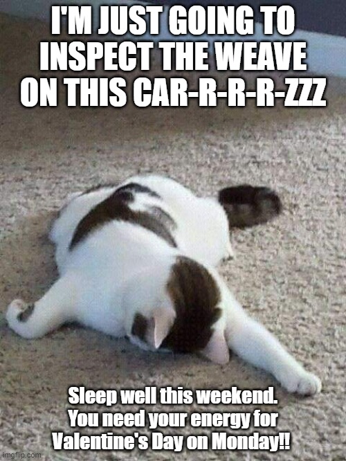 Rest up for Valentine's Day | I'M JUST GOING TO INSPECT THE WEAVE ON THIS CAR-R-R-R-ZZZ; Sleep well this weekend. You need your energy for Valentine's Day on Monday!! | image tagged in valentine's day,cat,sleep,funny,passed out | made w/ Imgflip meme maker
