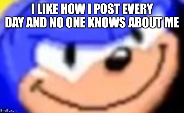 Sonic smile | I LIKE HOW I POST EVERY DAY AND NO ONE KNOWS ABOUT ME | image tagged in sonic smile | made w/ Imgflip meme maker