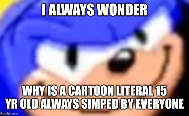 You know who you are.. *looks back at camilo* | I ALWAYS WONDER; WHY IS A CARTOON LITERAL 15 YR OLD ALWAYS SIMPED BY EVERYONE | image tagged in sonic smile | made w/ Imgflip meme maker