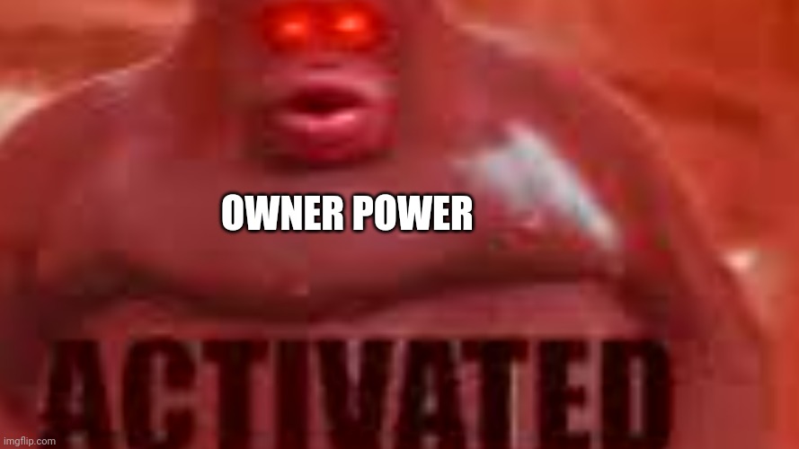 Activated Monke | OWNER POWER | image tagged in activated monke | made w/ Imgflip meme maker