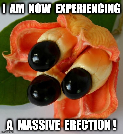 I  AM  NOW  EXPERIENCING A  MASSIVE  ERECTION ! | made w/ Imgflip meme maker