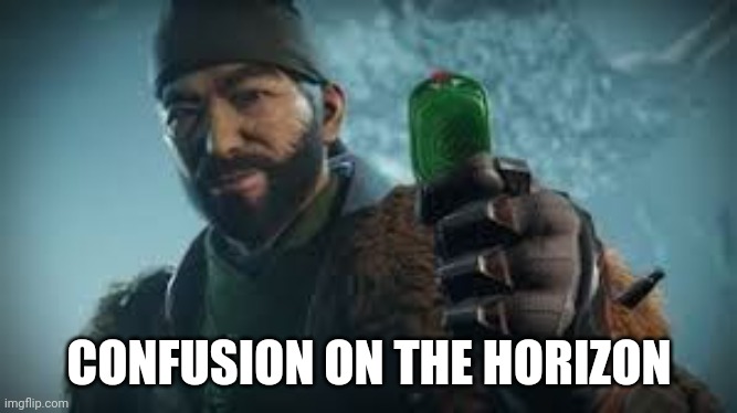 The Drifter Destiny 2 | CONFUSION ON THE HORIZON | image tagged in the drifter destiny 2 | made w/ Imgflip meme maker