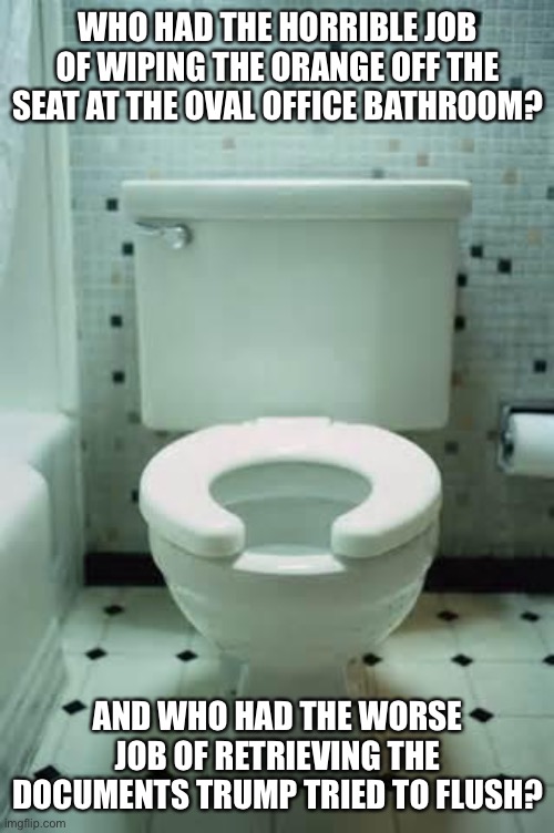 toilet | WHO HAD THE HORRIBLE JOB OF WIPING THE ORANGE OFF THE SEAT AT THE OVAL OFFICE BATHROOM? AND WHO HAD THE WORSE JOB OF RETRIEVING THE DOCUMENTS TRUMP TRIED TO FLUSH? | image tagged in toilet | made w/ Imgflip meme maker