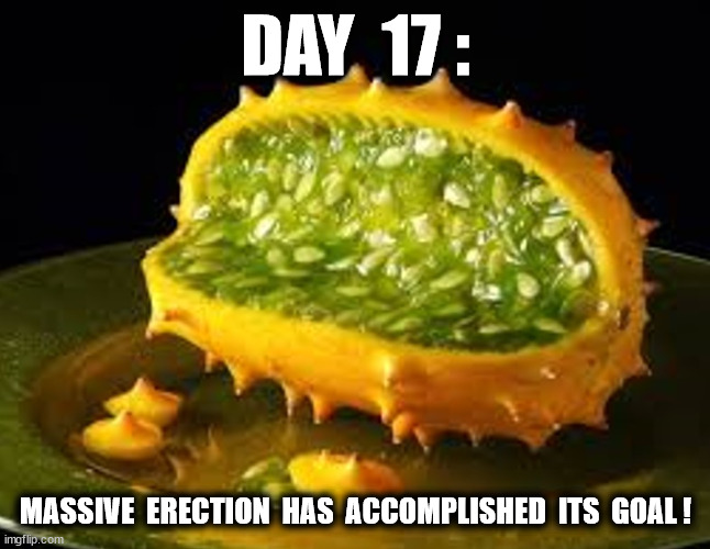 DAY  17 : MASSIVE  ERECTION  HAS  ACCOMPLISHED  ITS  GOAL ! | made w/ Imgflip meme maker