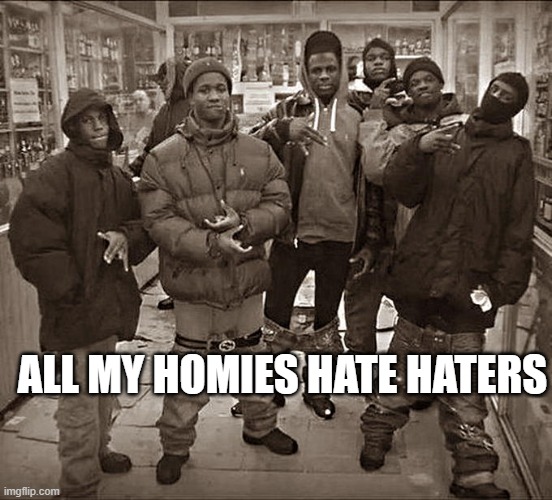 All My Homies Hate | ALL MY HOMIES HATE HATERS | image tagged in all my homies hate | made w/ Imgflip meme maker
