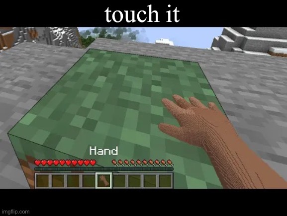 Hand touching Minecraft grass block | touch it | image tagged in hand touching minecraft grass block | made w/ Imgflip meme maker