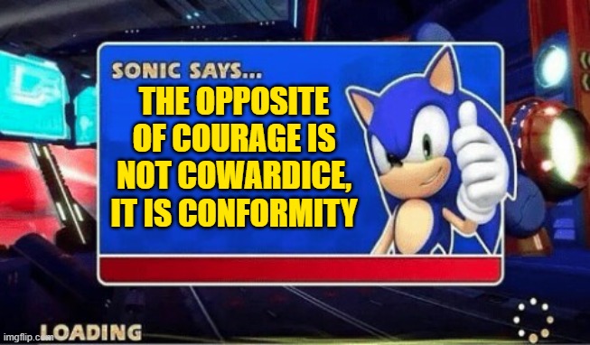 Sonic Says | THE OPPOSITE OF COURAGE IS NOT COWARDICE, IT IS CONFORMITY | image tagged in sonic says | made w/ Imgflip meme maker